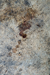 Bloodstain