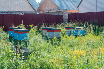 A small apiary in the garden of a neighbor. Apiary in the summer at the fence