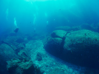 diver wtih reef caral