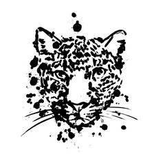 leopard black, brush strokes spray paints, leopard head face, African animal