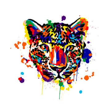 leopard color, brush strokes spray paint, leopard head face, African animals