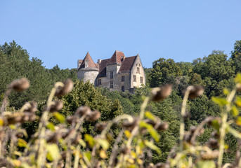 Fototapeta na wymiar Field of drying sunflowers in valley of Dordogne river. France