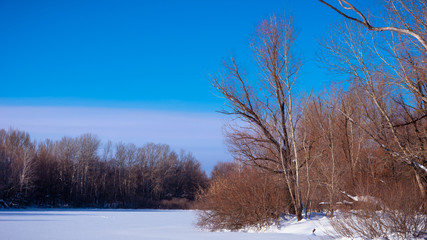 Beautiful winter landscape - Winter forest frozen lake covered with fresh snow with trees and bushes in the foreground and background