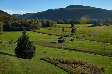 mountain summer landscape. trees near meadow and forest on hillside under sky