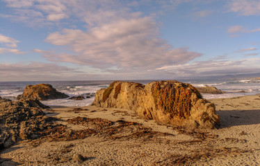 Mendocino beach