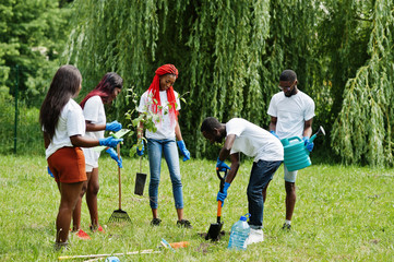Group of happy african volunteers planting tree in park. Africa volunteering, charity, people and ecology concept.