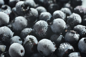 frozen Blueberry background. close up with selective focus and Frost. Fresh blueberry with drops of water on white background. Concept of healthy and dieting eating