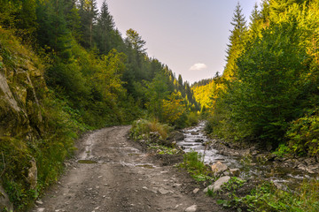 Fototapeta na wymiar Mountain road in the forest by the river