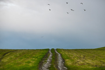 Birds flying at the end of a track