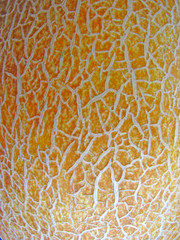 Ripe juicy melon on the blue background.