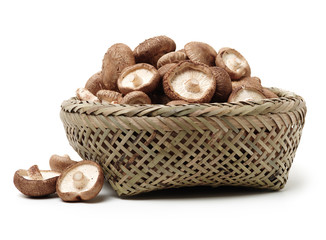 Shiitake mushroom on the White background 