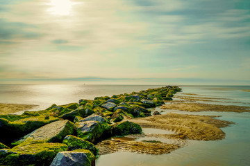 Texel