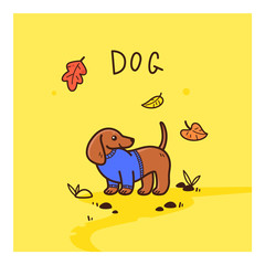 Good dachshund on walk. Autumn. Cartoon illustration for nursery, kids apparel, poster, postcard, pattern.