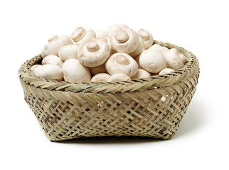 White mushrooms on white background