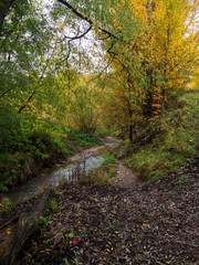 Autumn, trees, stream, landscape.