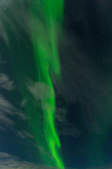 Northern lights, aurora in the sky at night.Vertical.