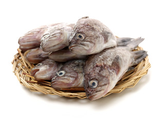 Fresh Grouper on white background