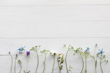 草花のホワイトボード