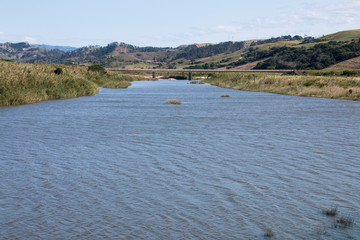 Wide Blue River with Bridge and Vegetation