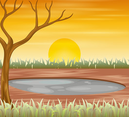 Sunset scene with dried tree in summer time