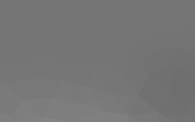 Fototapeta premium Light Silver, Gray vector low poly layout. Triangular geometric sample with gradient. New texture for your design.