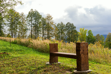 Scenery panorama in sunny day with view on mountains, green forest, meadow, blue sky and white clouds and with a bench for rest in the foreground