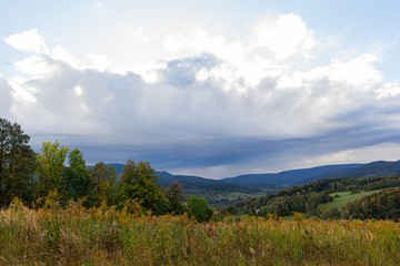 Copy space of grass flower with blue sky and white cloud, mountain background. Shallow depth of field. Nature environment and travel adventure concept.