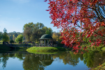 Obraz premium small gazebo in the park with autumn background 