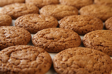 A group of baked oatmeal cookies, selective focus, low angle view, shallow depth