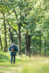 Fototapeta premium Man with backpack walking on sunny forest path in early fall.
