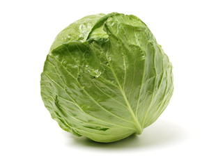 Obraz premium cabbage on white background