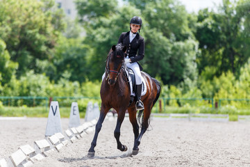 Fototapeta premium Young woman riding horse on dressage advanced test