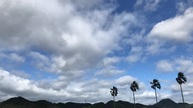 流れる雲と青空 台風通過後 強風 タイムラプス v01_00320(IMG_2463)