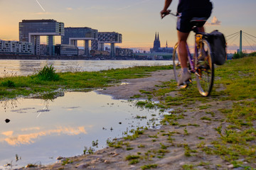 Am Flussufer in Köln am Rhein bei Sonnenuntergang mit Blick auf die Kölner Skyline mit den...