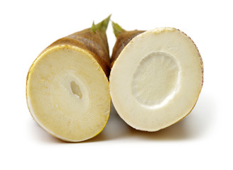 Bamboo shoot on the white background 