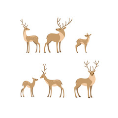 Naklejka na ściany i meble Cartoon forest animal line icon. Cute animals icons set - deer, fallow deer, fawn. Childish print for nursery, kids apparel, poster, postcard, pattern.
