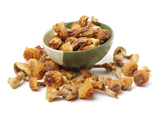 dried mushroom on white background