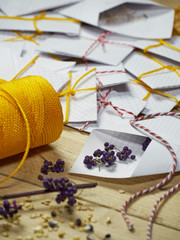 Harvesting and saving heritage and heirloom vegetable, fruit, flower seeds in fall or ready for planting in spring.