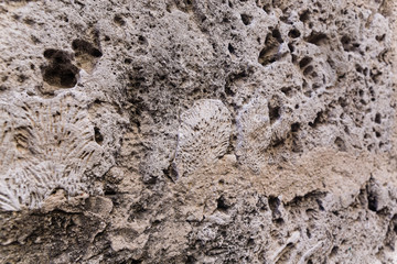 texture of stone