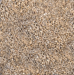 Nice natural coral sand from the ocean as the texture or pattern