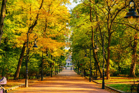 autumn is coming view of city park with yellow and green trees