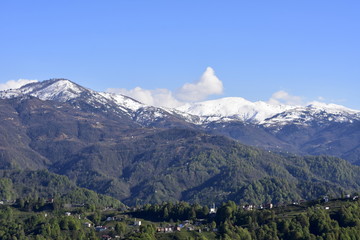 panoramic view of the alps