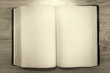 An empty old page of the Bible