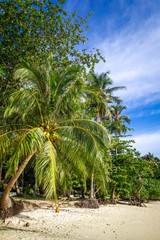 Tropical beach in Koh Lipe, Thailand