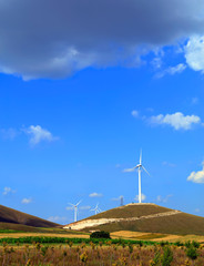 Obraz premium wind turbines