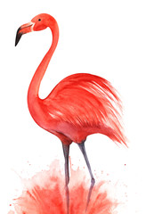 Red pink flamingo. Standing on lilac legs in a pink cloud of spray. Black beak eye dot. Hand drawn decorative watercolor illustration. Isolated on a white background