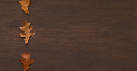 Frame of three dry oak leaves on wooden background