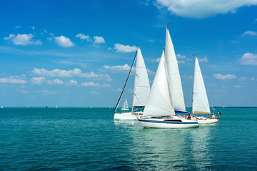 Sail Boats on the blue Lake Balaton Hungary - obrazy, fototapety, plakaty