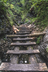 Autunn in Sucha Bela, Slovensky raj