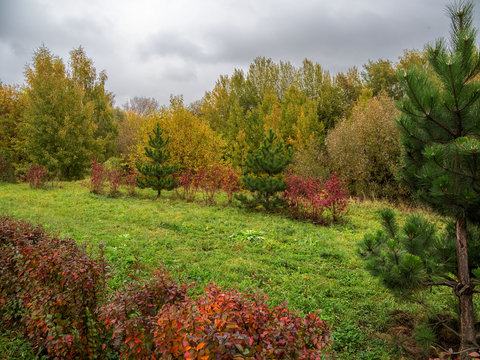 Autumn, trees, Park, landscape